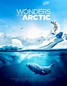 Le film Imax: Wonders of the Arctic