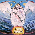Steve Hillage – Fish Rising (1975, Vinyl) - Discogs