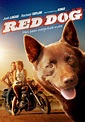 Watch Red Dog (2012) - Free Movies | Tubi