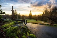 15 najlepszych atrakcji w Burnaby (Kolumbia Brytyjska, Kanada ...