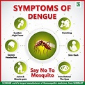 Pin on Dengue Fever: Symptoms, Causes, and Treatments