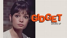 Watch Gidget Grows Up | Prime Video