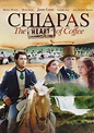 Chiapas El Corazon Del Cafe Jaime Camil Pelicula Dvd | Meses sin intereses