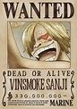 Wanted Posters | One Piece Wiki | Fandom | One piece bounties, One ...