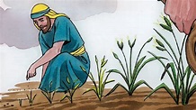 La parábola de la semilla de mostaza-Mateo 13:31; Marcos 4:30; Lucas 13:18