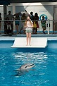 La gran aventura de Winter el delfín 2 - Tu AMC