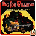 Big Joe Williams – Baby Please Don't Go (1994, CD) - Discogs