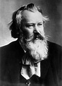 Johannes Brahms (1833-1897) Photo taken in 1893 | Classical music ...