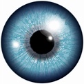 Blue Eye Drawing PNG Transparent Background, Free Download #42302 ...
