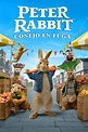 Peter Rabbit: Conejo en Fuga | Sony Pictures Mexico