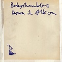 Babyshambles - Down In Albion Lyrics and Tracklist | Genius