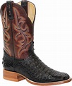 Our boot collection – HONDO BOOTS