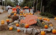 Pumpkin Dash, un concepto diferente para celebrar el otoño - PLAYERS of ...