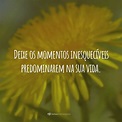 40 frases de momentos para você eternizar os acontecimentos marcantes