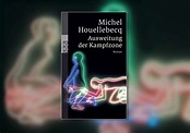 Ausweitung der Kampfzone von Michel Houellebecq