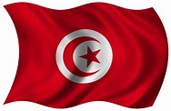 Free Tunisian Flag 2 Stock Photo - FreeImages.com