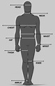 Clothing measurement guide for men | Body measurements, Sewing ...