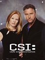 CSI: Crime Scene Investigation: Season 6 Pictures - Rotten Tomatoes