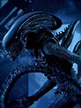 Alien Movie Wallpaper - WallpaperSafari
