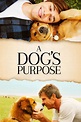 A Dog's Purpose (2017) - Posters — The Movie Database (TMDB)