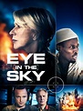 Prime Video: Eye in the Sky
