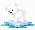 Animado: osos polares animados | dibujos animados de oso polar — Vector ...