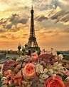 Paris En Español 🇫🇷 en Instagram: “Esta vista increíble y estas flores ...