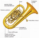 Gocce di note: STRUMENTI MUSICALI - IL BASSO TUBA (Musical Instruments ...