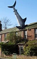 The Headington Shark, Oxford