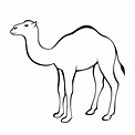 Camello Con Adorno Blanco Negro Vectores Libres de Derechos - iStock