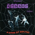 The Seeds - ‘A Web Of Sound’ (1966) - It's Psychedelic Baby Magazine