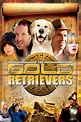 The Gold Retrievers (2009) - Posters — The Movie Database (TMDB)
