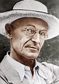 How Hermann Hesse became a hero of the Sixties counterculture