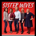 ‘Sister Wives’ Season 1, Episode 1: Remembering How They Began