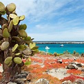 Tour Isla Seymour $270 | RESERVAR | Galapagos Low Cost