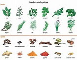 herbs and spices | Растения, Стебель и Листья