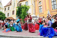 Bilder vom 25. Schloßfest in Neuburg | Neuburger Rundschau