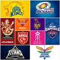 Logos of all 10 IPL teams : r/Cricket