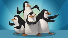 Die Pinguine aus Madagascar | Sendetermine & Stream | NETZWELT