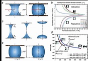 Liquid bridges and liquid joints. a) Axisymmetric bridges supported by ...