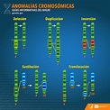 Anomalías Cromosómicas