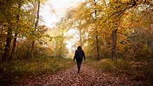8 ways walking in the woods can make you happier - Healthista