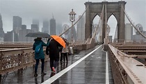 Que faire à New York un jour de pluie ? - Civitatis