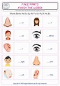 Parts Of Face Worksheet