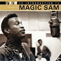 ‎An Introduction To Magic Sam by Magic Sam on Apple Music