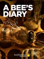 A Bee's Diary Movie Streaming Online Watch