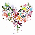 Heart of Butterfly | Free Vector Graphic Download