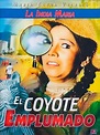 El coyote emplumado - Alchetron, The Free Social Encyclopedia