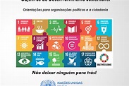 Articulando os Programas de Governo com a Agenda 2030 para o ...