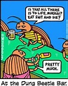 At the Dung Beetle Bar | Off color humor, Funny cartoons, Drinking humor